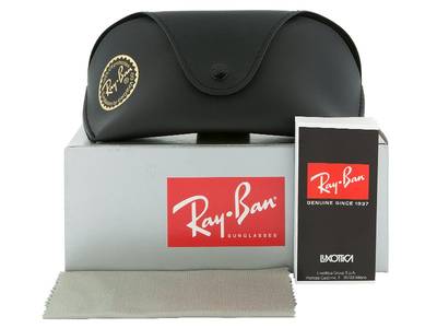 Ray-Ban Jackie Ohh II RB4098 710/71 - Inhalt der Packung (Illustrationsbild)