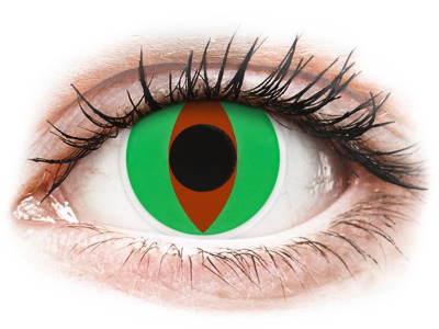 Colourvue kontaktlinsen - Wählen Sie dem Gewinner unserer Tester