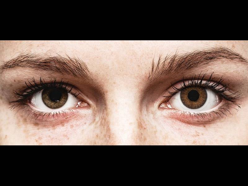 TopVue Color Tageslinsen - Brown - mit Stärke (10 Linsen)