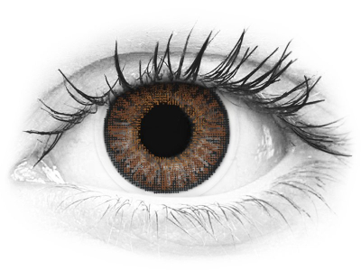 TopVue Color Tageslinsen - Brown - ohne Stärke (10 Linsen)