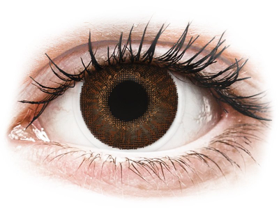 Hellbraune kontaktlinsen - Die preiswertesten Hellbraune kontaktlinsen unter die Lupe genommen!