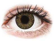 FreshLook ColorBlends Pure Hazel - ohne Stärken (2 Linsen) Farblinsen - Nicht dioptrisch, Braun - FreshLook ColorBlends Pure Hazel - ohne Stärken (2 Linsen)