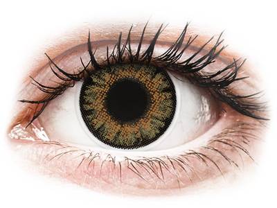 ColourVue One Day TruBlends Rainbow 1 - ohne Stärken (10 Linsen) - ColourVue One Day TruBlends Rainbow 1 -  Brown