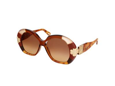 Chloe CE743S 245