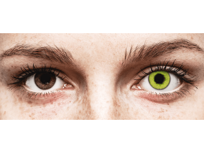 TopVue Daily Color - Fresh Green - Tageslinsen ohne Stärke (2 Linsen)