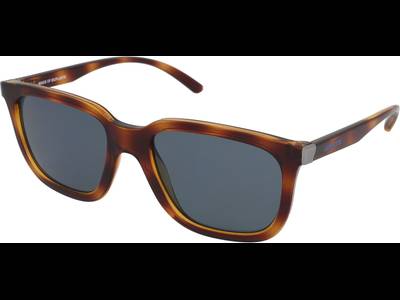 Arnette Plaka AN4306 27702V