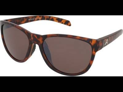 Alpina Nacan II P Havana Gloss/Silver Mirror