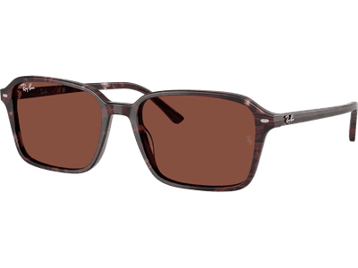 Ray-Ban Raimond RB2231 1416C5
