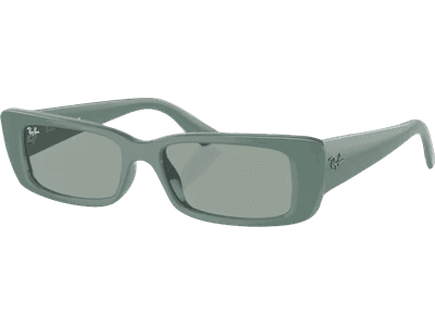 Ray-Ban Teru RB4425 676282