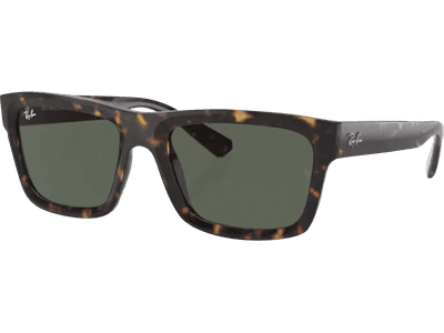 Ray-Ban Warren RB4396 135971